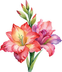 Bright Gladiolus Flowers Arrangement Classic Watercolor Illustration