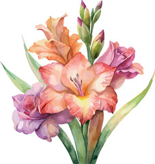 Colorful Gladiolus Bouquet &ndash; Floral Watercolor Vector Illustration