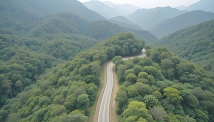 Aerial view of road in the middle of forest.Road curve construction up to mountain.Healthy environment concept and rainforest ecosystem.     




