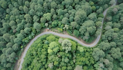 Aerial view of road in the middle of forest.Road curve construction up to mountain.Healthy environment concept and rainforest ecosystem.     




