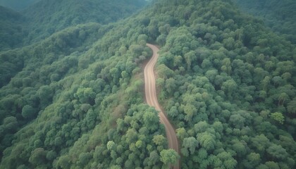 Aerial view of road in the middle of forest.Road curve construction up to mountain.Healthy environment concept and rainforest ecosystem.     




