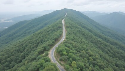 Aerial view of road in the middle of forest.Road curve construction up to mountain.Healthy environment concept and rainforest ecosystem.     




