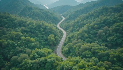 Aerial view of road in the middle of forest.Road curve construction up to mountain.Healthy environment concept and rainforest ecosystem.     




