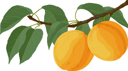 A vibrant illustration showcasing two ripe, orange-hued fruits on a branch with lush green leaves