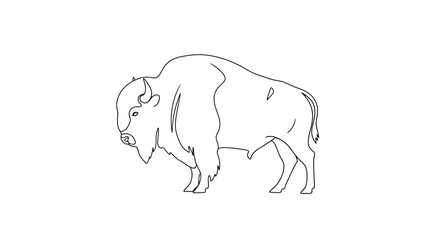 Line drawing of bison walking to left.