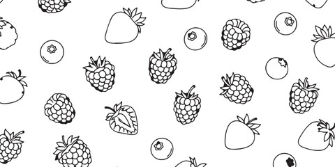 A collection of various berries, drawn in a simple, illustrative style with clean lines and a white background