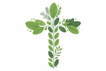Green leafy cross green cross plant leaves isolated on a transparent background