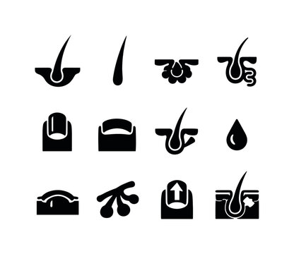 Skin Appendages Icons. Skin appendages. Solid icon set of skin appendages: hair follicle, hair shaft, sebaceous gland, sweat gland, nail plate, nail bed,