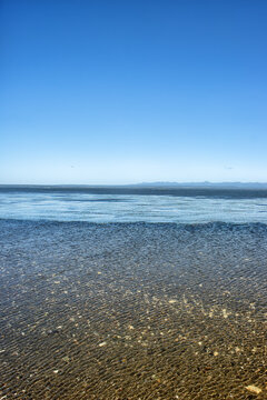 Ripples on the sea surface (crenulation) due to an onshore crosswind (a gust of wind, ground swell), then smooth water over the kelp forest. The Sea of Japan littoral