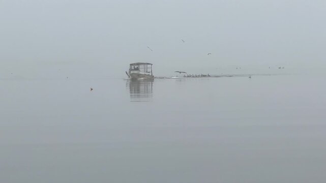 Crab boat on a river with pelicans flying around it