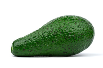the green young avocado fruit