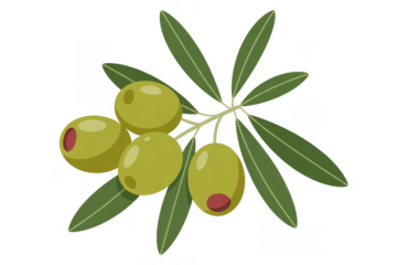 Green olives with leaves on branch food isolated on a transparent background