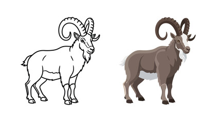 Ibex animal illustration presented as a black and white line art template alongside a fully colored and detailed graphic version for versatile design applications