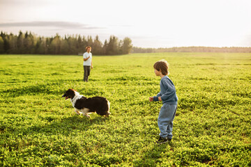 Child playing with dog outdoors in a green field, family time, active lifestyle, happy childhood in nature.