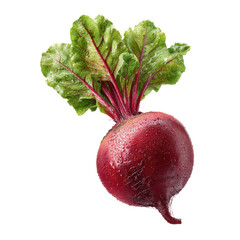 Fresh beetroot with greens on transparent background