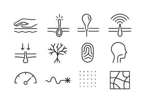 Sensory Receptor Icons. Skin sensation. Line icon set of Skin sensation: touch receptor, pain receptor, temperature receptor, vibration waves, pressure icon,