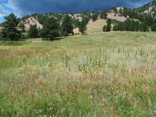 Summer Grassland Meadow in Sanitas Valley, Boulder, Colorado Beneath Dramatic Storm Clouds