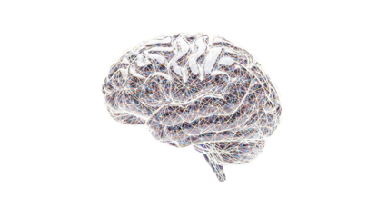 Complex human brain structure illustration