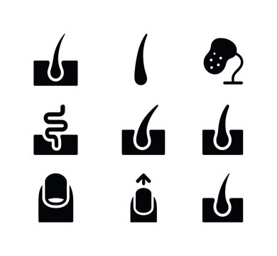 Skin Appendages Icons. Skin appendages. Solid icon set of skin appendages: hair follicle, hair shaft, sebaceous gland, sweat gland, nail plate, nail bed,