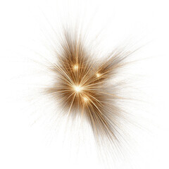 Naklejka premium Golden Firework Explosion on Transparent Background