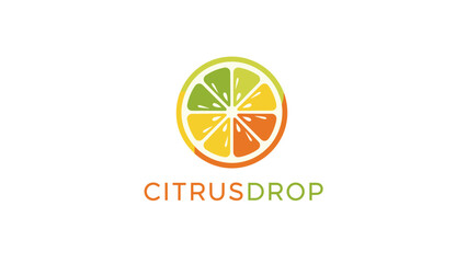 Citrus Drop Logo Design with Orange Slice.