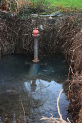 Fototapete bei efototapeten.de bestellen   