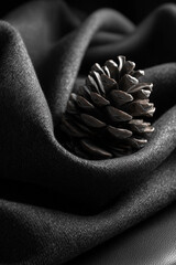 A solitary pine cone rests gracefully on a dark, draped fabric, creating a scene of minimalist elegance. This image exudes a sense of serene, moody charm.