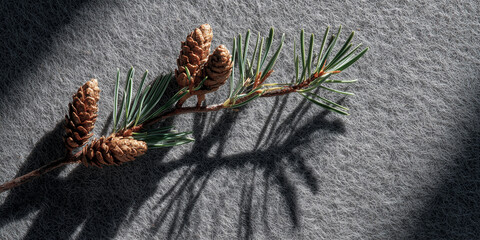 A branch of pine needles, complete with several pine cones, is resting atop a textured surface, showcasing the intricate details of nature in a close-up photograph.