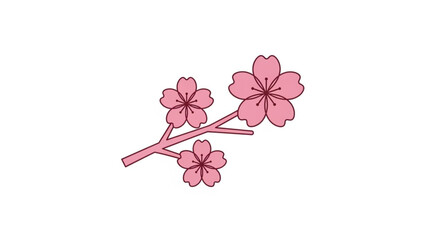 Pink Cherry Blossoms Isolated on White Background