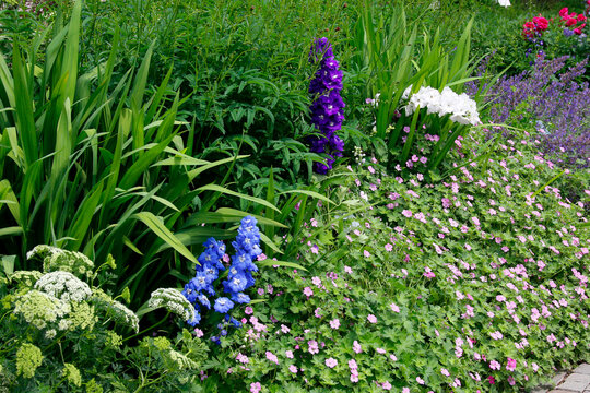 Buntes Blumenbeet im Garten