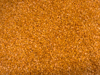 Lentil background texture, many dried red lentils. Healthy pulse food ingredient for cooking, vegetarian diet, spice texture.