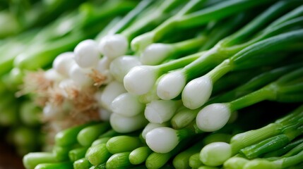 Fresh green onions arranged neatly on a surface in a kitchen setting during daylight hours
