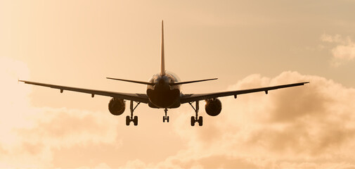 Plane landing . Silhouette of aircraft, back view. Silhouette of passenger aircraft airline on beautiful sunset background
