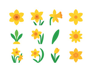 March Birth Flower Icons. March birth flowers. Colorful flat vector icons set of March birth flowers: daffodil bloom, jonquil flower, trumpet daffodil, yellow