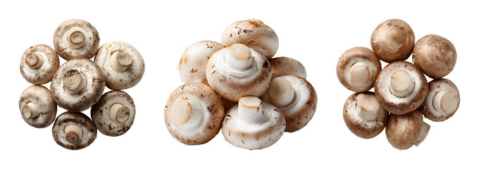 Fresh white button mushroom PNG set with isolated on transparent background