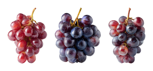Fresh red and black grape bunch collection PNG set with isolated on transparent background