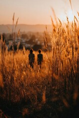 Fototapeta premium Two people walk through a golden field of tall grasses at sunset, with a distant city in the background. Concept Sunset field stroll among tall golden grasses, Distant city skyline on the horizon