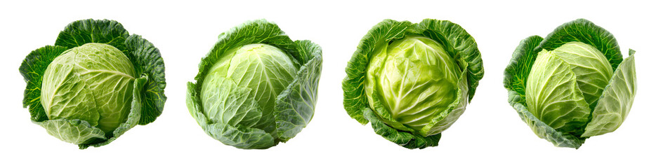 Fototapeta premium Fresh Green Cabbage Head Collection PNG set with isolated on transparent background
