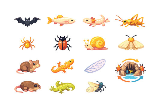 Colorful Cave Creatures Icons. Cave creatures. Colorful flat vector icons set of cave creatures: bat silhouette, cave fish, blind salamander, cave cricket,