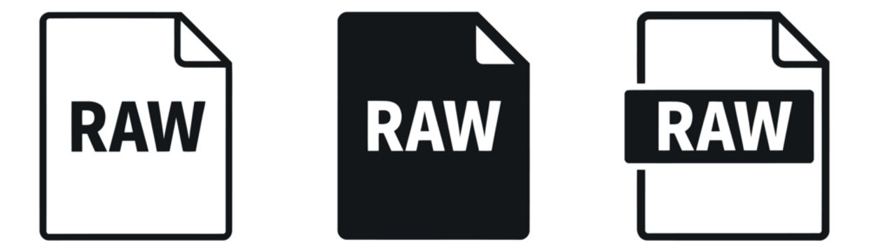 Modern icon RAW file set featuring outline and filled graphic variations for digital document management
