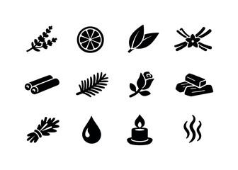 Eco Candle Icons. Eco-friendly candle scents. Solid icon set of eco-friendly candle scents: lavender sprig, citrus slice, eucalyptus leaf, vanilla pod,