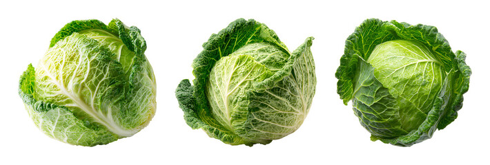Fototapeta premium Fresh Chinese cabbage heads isolated on transparent background PNG set