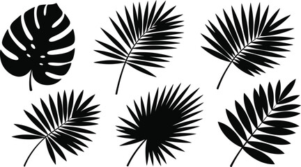 Black silhouettes of tropical palm leaves and monstera leaf isolated on white background © Rajna