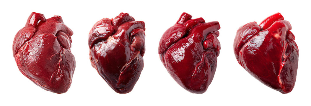 Realistic raw animal heart PNG set with isolated on transparent background