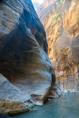 Explore the stunning Narrows of Zion National Park along the Virgin River with towering canyon walls and clear waters