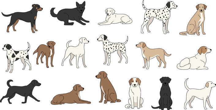 Dog breeds vector set with various canine characters in different poses including sitting, standing and lying dogs in flat cartoon illustration style isolated on white background
