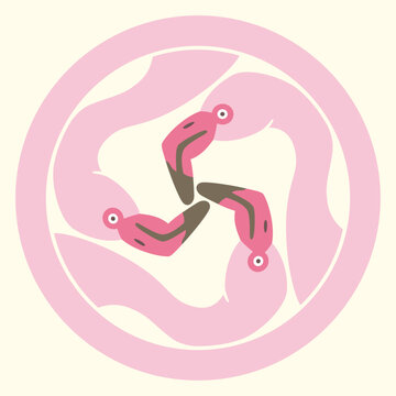 家紋風アイコン　鳥　フラミンゴ　日本の紋章