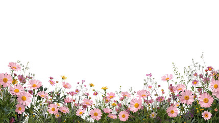 spring flowers border