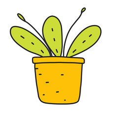 Handdrawn Houseplants