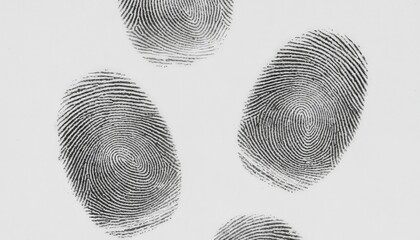 Multiple dark human fingerprints on a white background representing unique personal authentication, forensic evidence, and biometric security for crime investigation and data protection